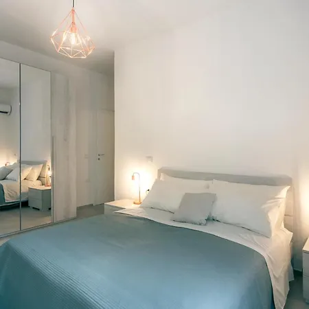 Grace 시니스콜라